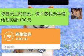 理县如何避免债务纠纷？专业追讨公司教您应对之策
